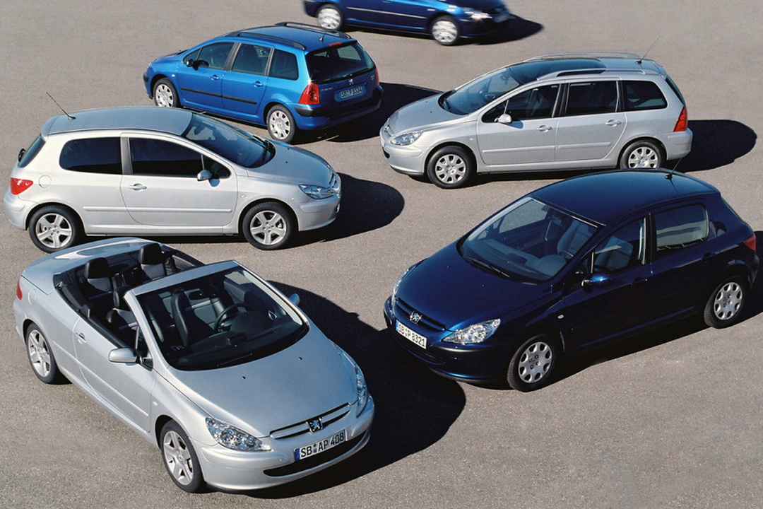 Full range of Peugeot 307 variants 2003