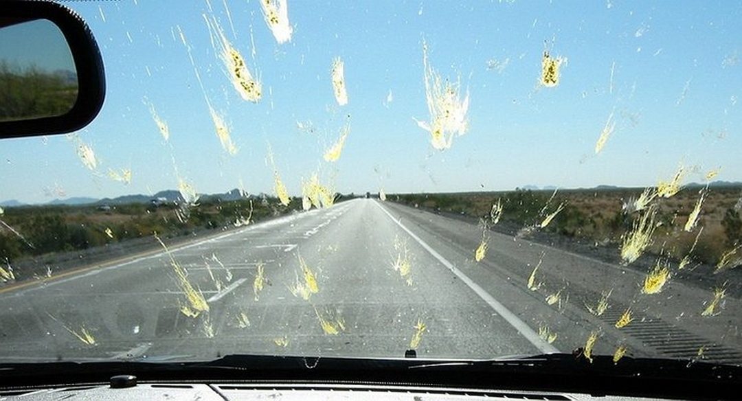 Insect marks on the windshield