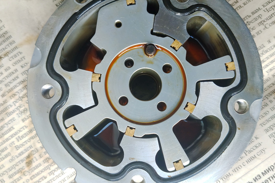 General view of the rotor and stator of the VVT ​​clutch